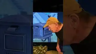 Old man yelling at his mailbox because he didn&rsquo;t get any good mail