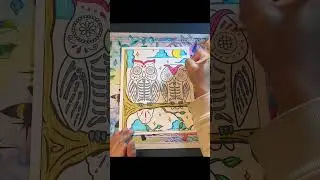 Owl Coloring Page