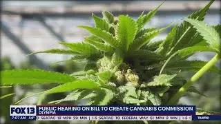 Public hearing on bill to create cannabis commission | FOX 13 Seattle