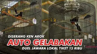 JAWARA LOKAL : Murai Ken Arok Saling Serang Walau Daftar Tiket 15ribu Serasa tiket mahal