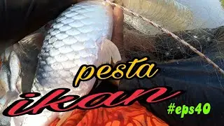 tahan jaring ikan sungai.hasil padu pesta ikan mcm2 ikan dapat.#eps40
