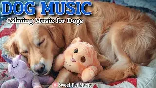 20 Hours of Calming Dog Music🦮💖Soothe Separation Anxiety & Panic🎵💤Deep Sleep Aid, Dog TV