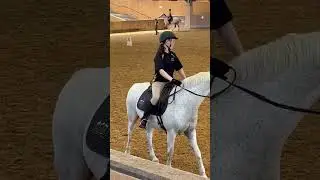 Don&rsquo;t mind how I look #horse #cute #riding #horseriding #fyp