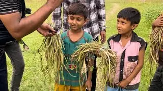লতি গুলা আমাকে দিয়া দাউ টা কা ছারা 