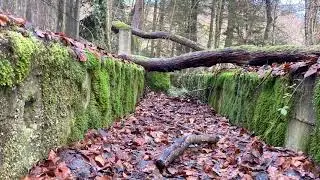 Labor camp Raderach Southern Germany Second World War Lost place Germany