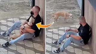 The barber sat next to his shop crying—what the stray dog ​​did next shocked everyone