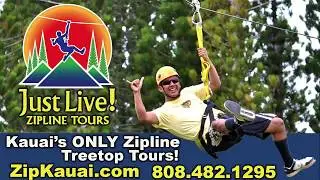Kauai Zipline Treetop Tour, Climbing Wall, Monster Swing