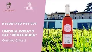 Degustazione Umbria rosato IGT Ventorosa Cantina Chiorri
