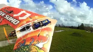 Blunt-nose Teksumo (more trials)