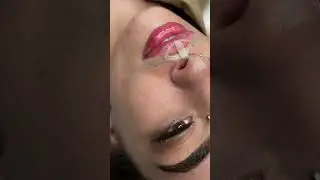 Russian Butterfly Lips Bathgate Scotland