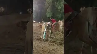 My First Camel Ride Experience #camelride #globalvillageactivity🐪🇦🇪