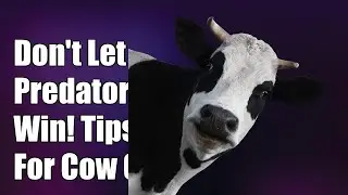 Don't Let Predators Win: Essential Tips for Predator-Proof Cow Housing!