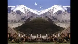 Raúl Morocho [ Shitash Resha Nigui ].