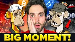 Crypto Holders About To Make History (Bored Ape Movie is GAME CHANGER)
