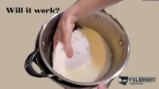 I Tried Making Mozzarella from Sheep Milk and Here's What Happened