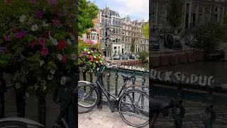 2 Days Amsterdam Itinerary 🇳🇱 #travel #amsterdam #netherlands #itinerary #explore #trending
