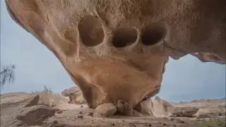شتاء وربيع منطقة تبوك 1439هـ