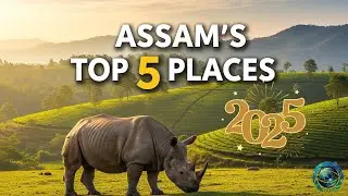 Top 5 Must Visit Places in Assam 2025 💚🦏| Assam Travel Guide | Best Places to Visit in Assam #travel