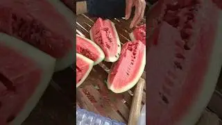 Cutting watermelon 🍉 fruit #watermelon #green #nature #farming #food #fruit #garden