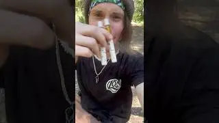 Blinkers off tiny carts in nature 💨
