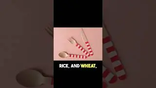 Edible Cutlery: The ECO-BITES #science #ecofriendlydesign #viral
