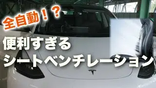 【テスラ モデル3】革命的テスラ用haloBLKシートベンチレーション