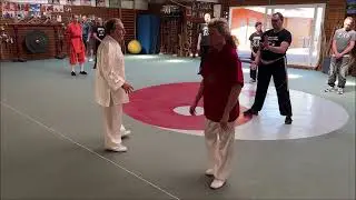 Grandmaster Walter Toch explain No Touch Energy on his Workshop Belgium 2024