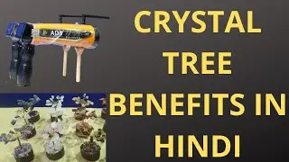 how to use crystal tree | where to keep crystal tree | vastu | crystal tree | 3d aura scanner