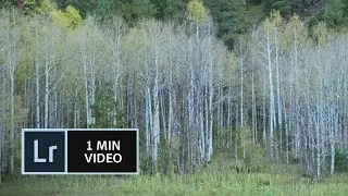 How to use Before and After views in Lightroom
