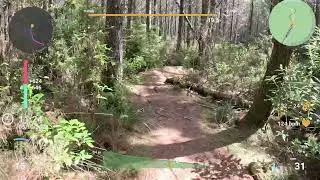 Magnum Trail at Riverhead Forest