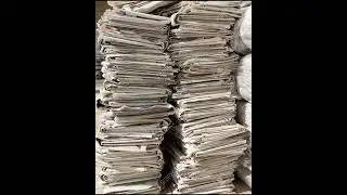How many trees would have to be cut to make one ton of news paper#shorts#facts#fact about newspaper