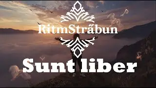 Ritmstrabun - Sunt liber #music #new