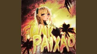 FUNK PAIX&Atilde;O (Ultra Slowed)
