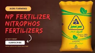 NP (Nitrophos) Fertilizer| All Benefits of Nitrophos Fertilizer ||