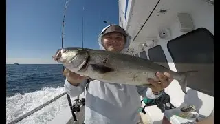 Blue Fishing in New Jersey, October 2020, Golden Eagle Fishing Charter
