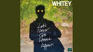 LETS NEVER GO HOME AGAIN