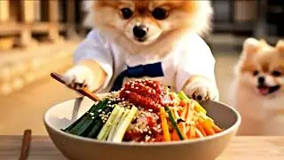 비빕밥 해먹는 강아지 #사랑스러운 #요리하는 #강아지 #강아지먹빵 #dogcooking #dogeating #kfood #ASMR요리 #귀여움폭발