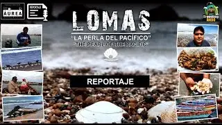 [Reportaje] LOMAS “La perla del pacífico” (The pearl of the pacific)