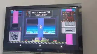 Raspberry Pi 4 - LineageOS 17.1 - Duck Game (part 3) - Local multiplayer