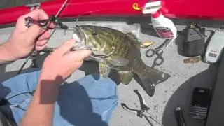 NJ BASS FISHING EP.17 (KeeP ReeLing) - Northern Pike!-