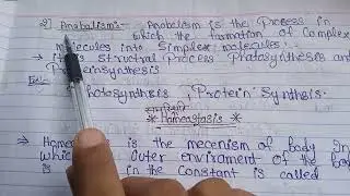 #Basic life process# Homeostasis #Negative Posstive feedback mechanism# Basic anatomical terminology