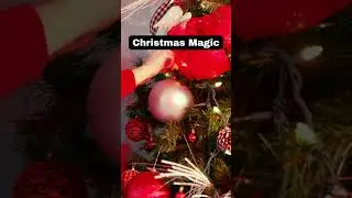 Christmas Magic #christmas #Joyful #winterwonderland #merrychristmas  #christmasmagic #jesus #christ