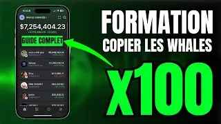 Formation : Comment copier les whales crypto automatiquement ?