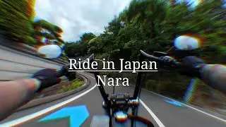 Harley Davidson Street Bob Midday Ride in Nara, Japan #6 | Pure Engine Sound [4K]