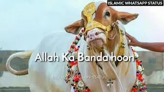Qurban karo gay Qurban karo gay WhatsApp status 🥰#shorts Ash princess