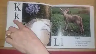 Farm Alphabet Book