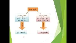 13 العوامل الترابية