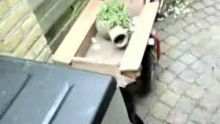 Shadow pleurt van de kussenbox af