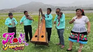 Flor de pajurumi conjunto los romanceros de chaccho