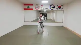 Taekwondo Poomsae 6  - Taegeuk Yuk Jang